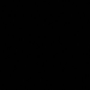 Meet your Posher, Shania